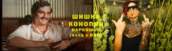 дживик Аркадак