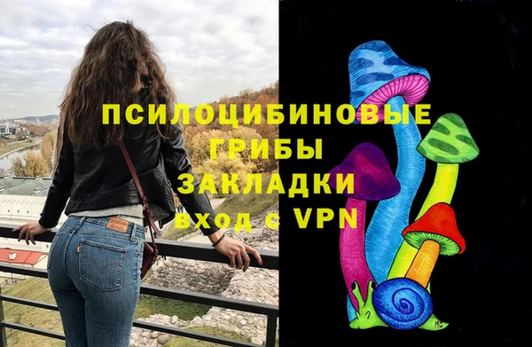 дживик Аркадак