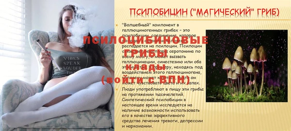 гидропоника Армянск