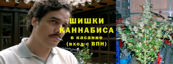 дживик Аркадак