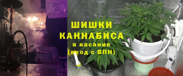 дживик Аркадак