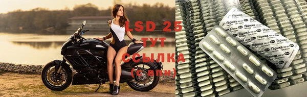 прущие крисы Арсеньев