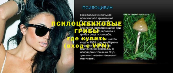 прущие крисы Арсеньев