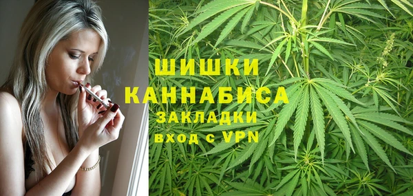 прущие крисы Арсеньев
