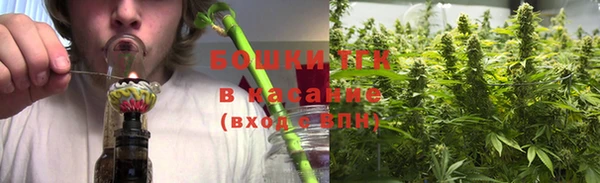 дживик Аркадак